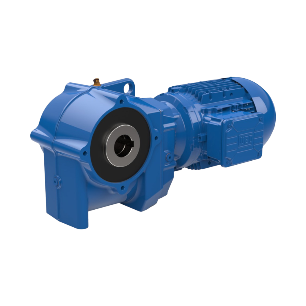 Worm Gearbox Motor