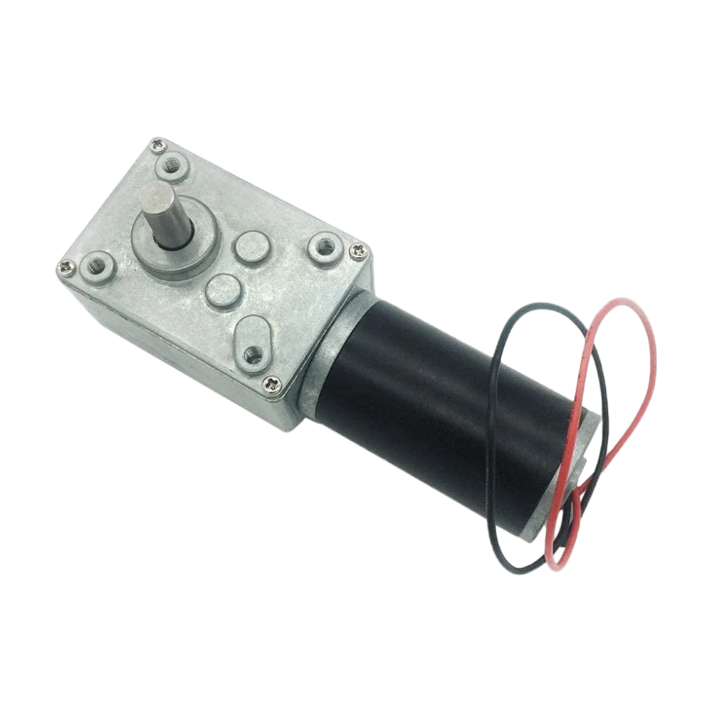 A58SW31ZY Worm Gear Motor