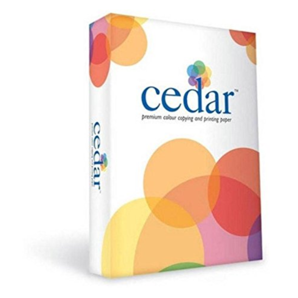 A4 Paper,100 Gsm(Pack of 1)
