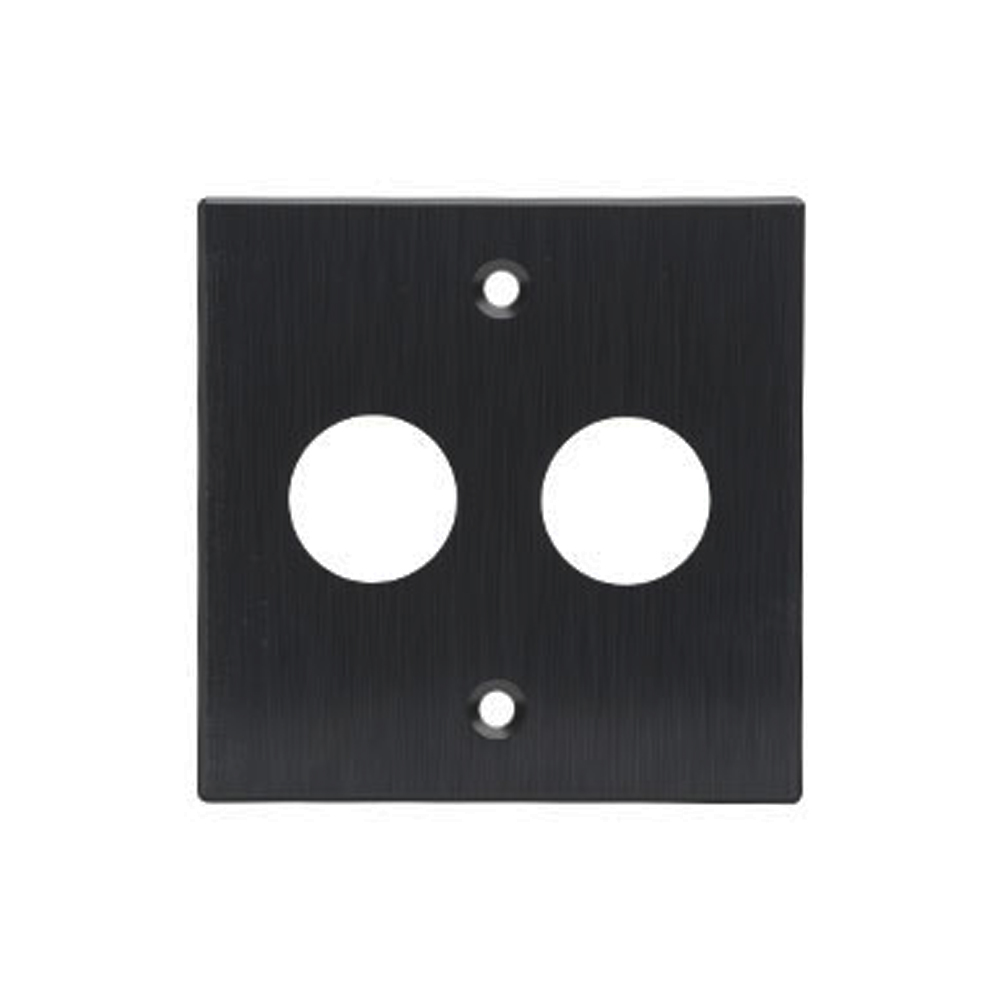 Faceplate 86 2 Port for Type-C Connector