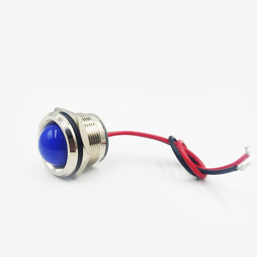 19mm 220V Blue Spherical Shape Metal Indicator Panel Mount LED Lamp