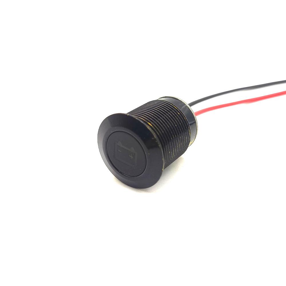 19mm 3-48V Battery Warning Symbol Red light lamp