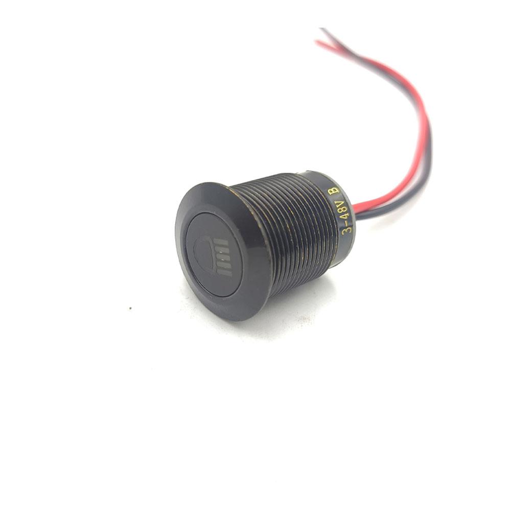19mm 3-48V High Beam Light Symbol Blue light lamp