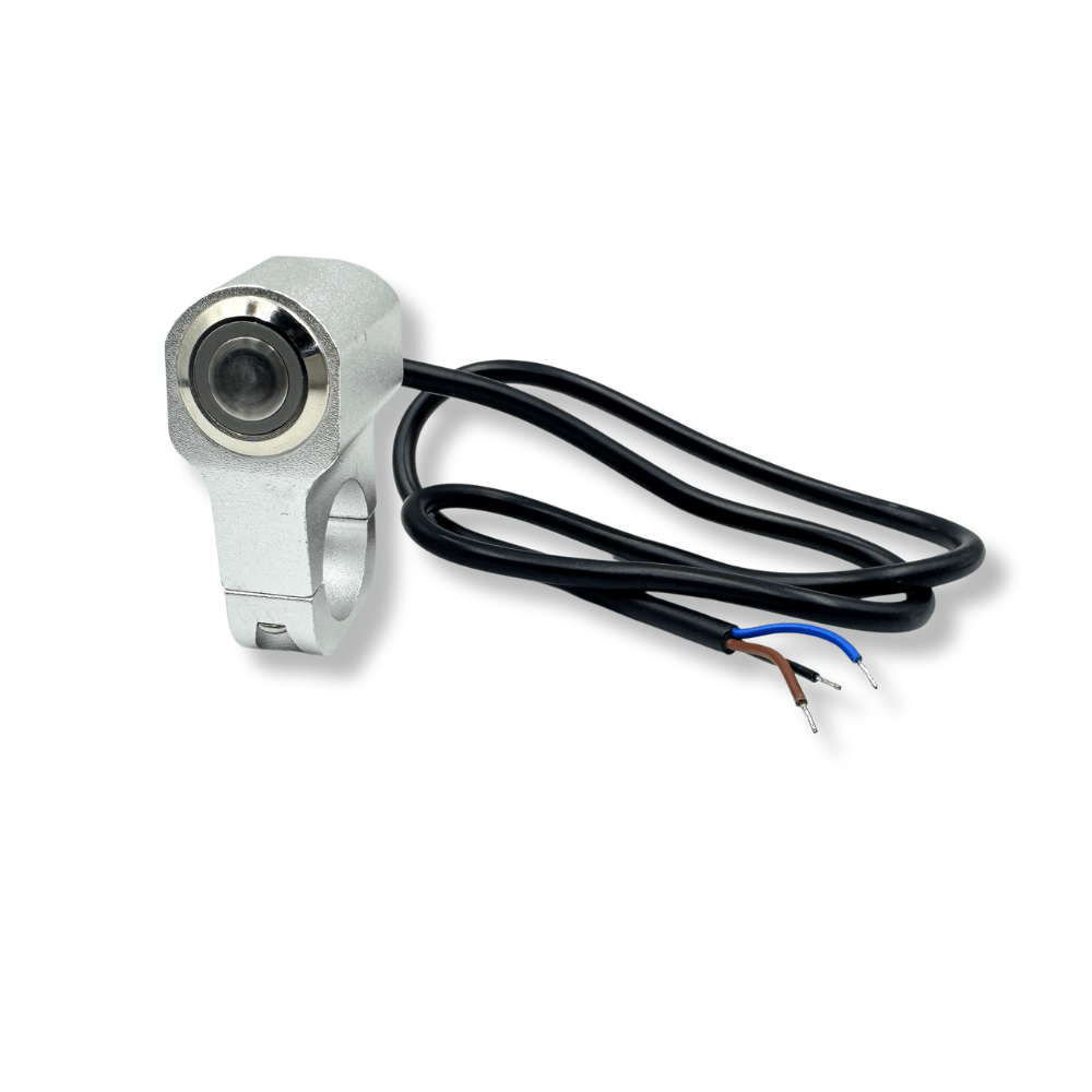 Flat head 19MM Latching Blue 12-24V With Handle Silver Surface