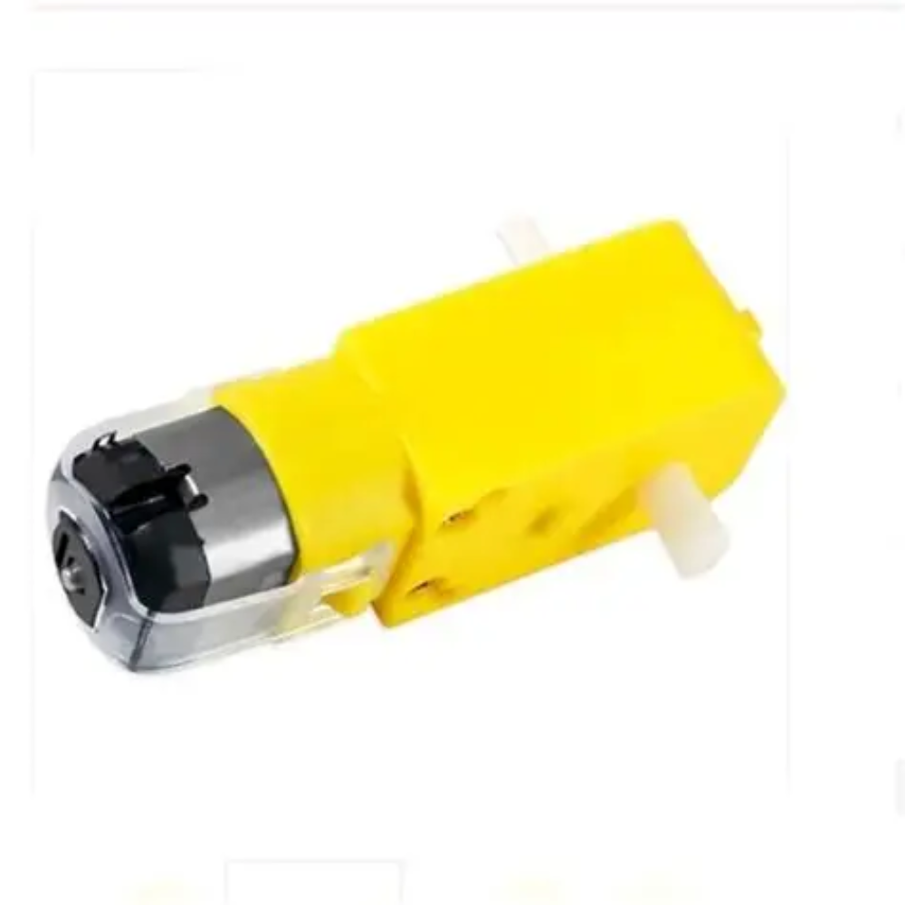 300 RPM Straight Dual Shaft Bo Motor