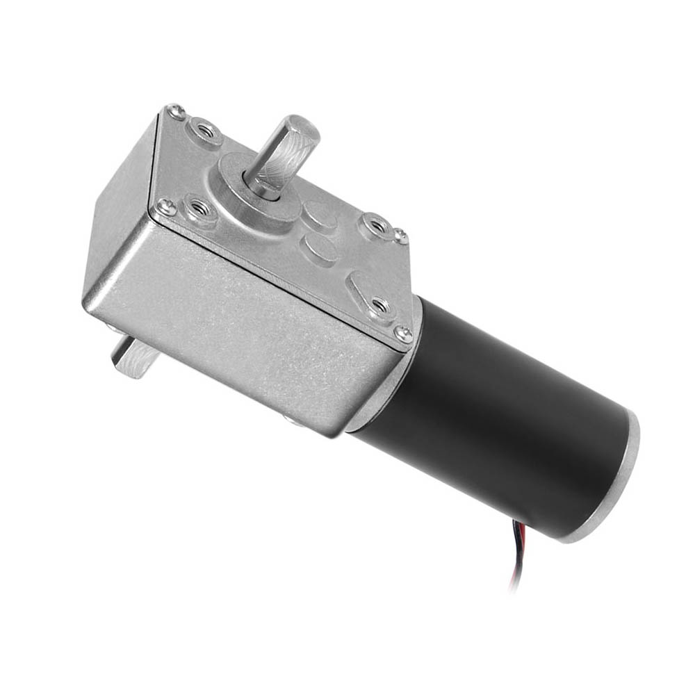 A58SW31ZY 12V 27RPM Dual Shaft DC Worm Gear